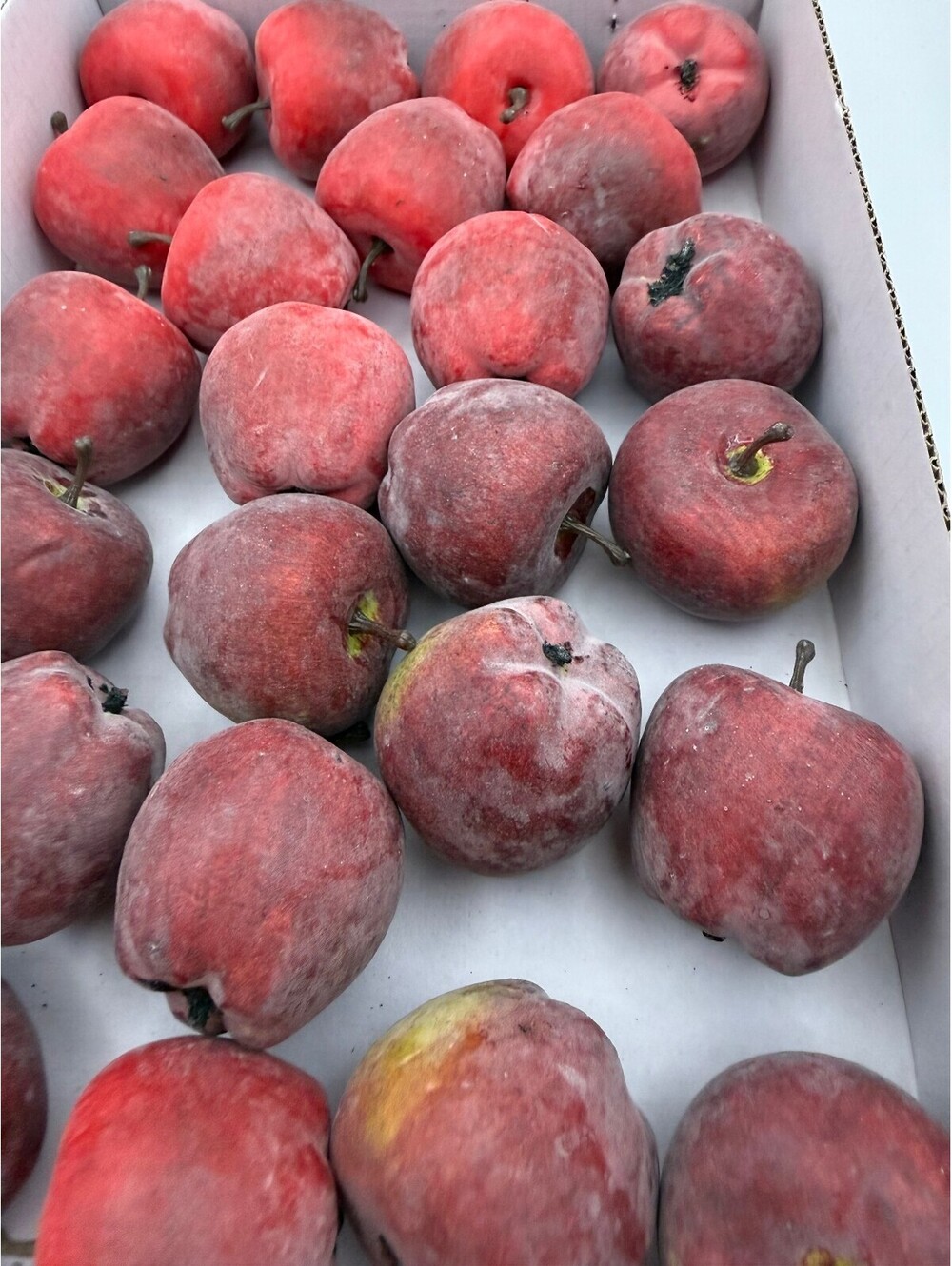 Vintage Artificial Red Apples Box Lot 27 Faux Fruit Farmhouse Kitchen Decor